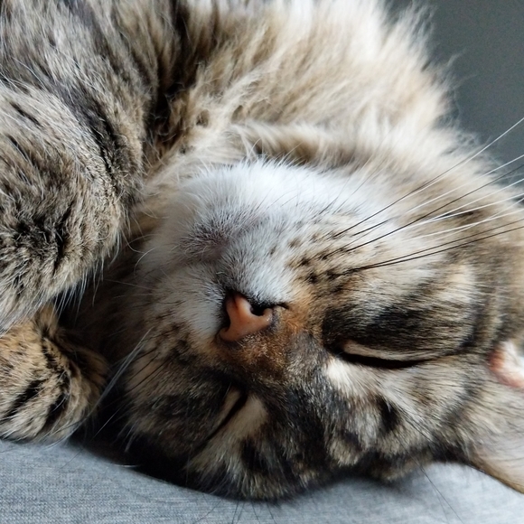 Mostly a shopper :) - Picture 2 of 2